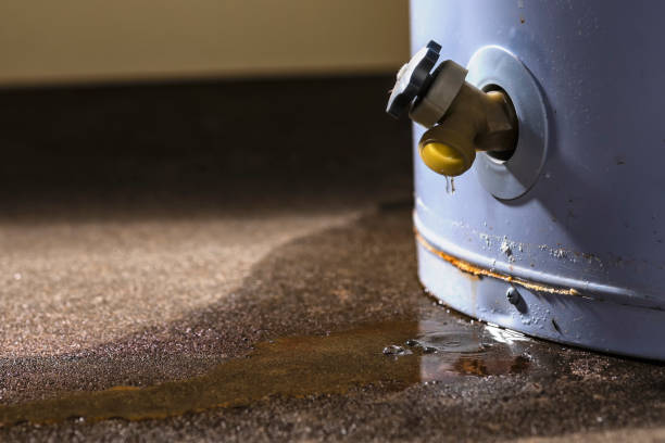 Best Carpet water damage restoration  in Wolcott, IN