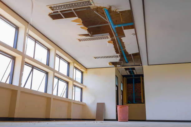 Best Professional water damage repair  in Wolcott, IN