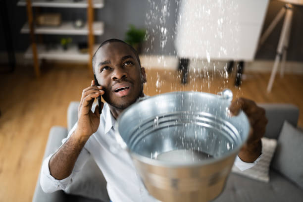 Best Professional water damage repair  in Wolcott, IN
