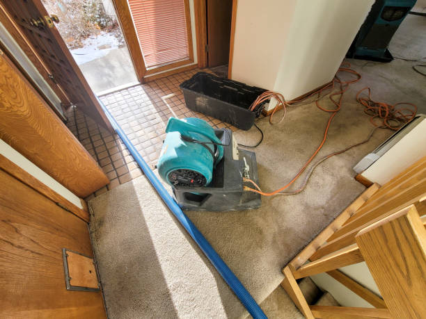 Best Carpet water damage restoration  in Wolcott, IN
