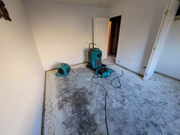 Local water damage restoration in IN