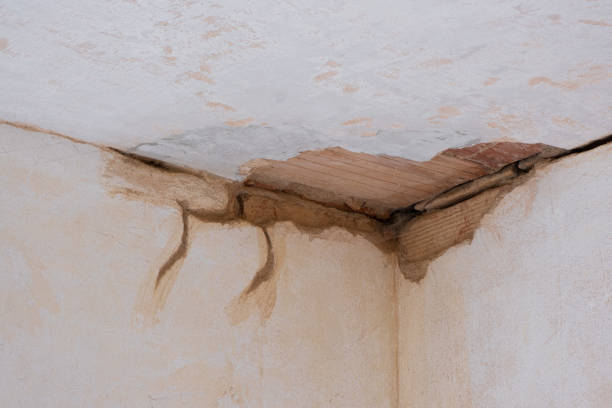 Best Mold removal after water damage  in Wolcott, IN