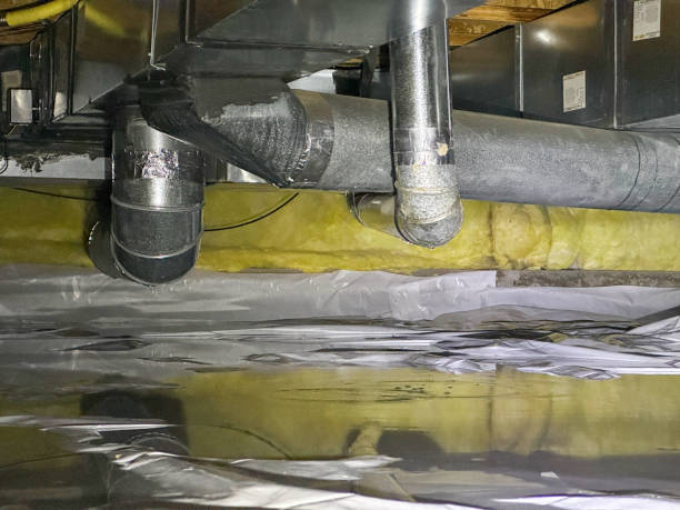 Best Flood damage cleanup  in Wolcott, IN