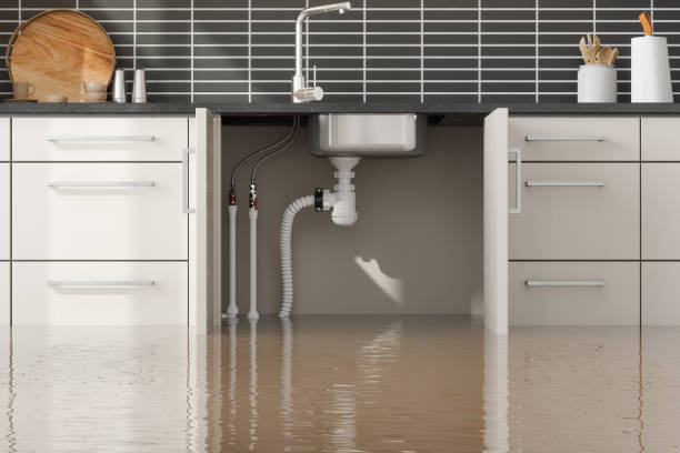 Best Water damage cleanup near me  in Wolcott, IN