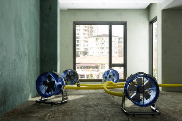 Best Emergency water damage restoration  in Wolcott, IN